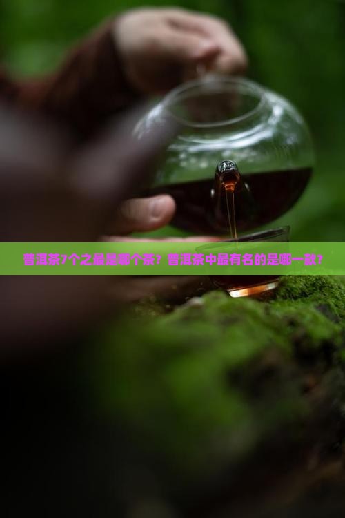 普洱茶7个之最是哪个茶？普洱茶中最有名的是哪一款？