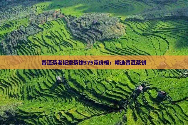 普洱茶老班章茶饼375克价格：精选普洱茶饼