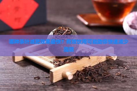 哪种茶叶减肥效果最快？有效饮用可能助你快速减少脂肪