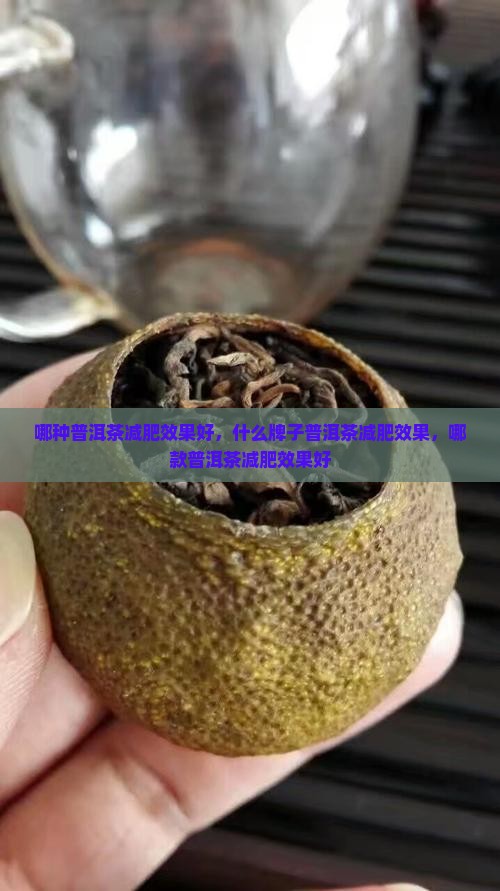 哪种普洱茶减肥效果好，什么牌子普洱茶减肥效果，哪款普洱茶减肥效果好