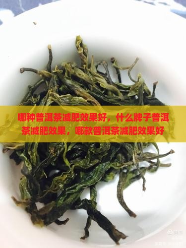 哪种普洱茶减肥效果好，什么牌子普洱茶减肥效果，哪款普洱茶减肥效果好