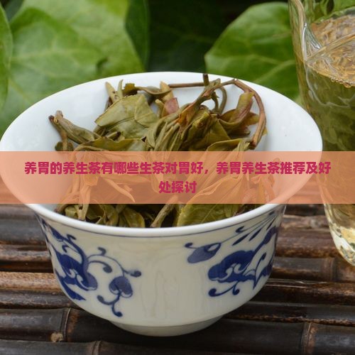 养胃的养生茶有哪些生茶对胃好，养胃养生茶推荐及好处探讨