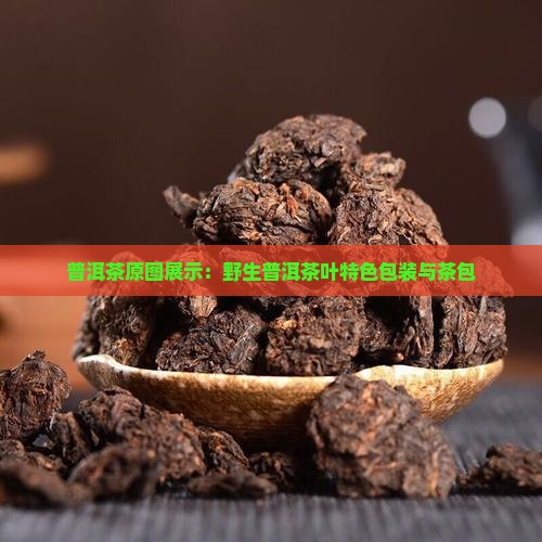 普洱茶原图展示：野生普洱茶叶特色包装与茶包