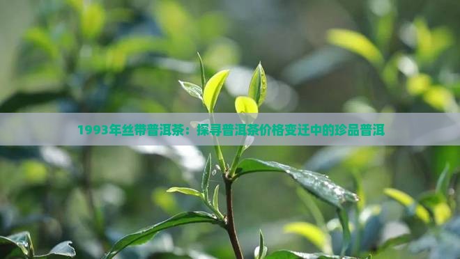 1993年丝带普洱茶：探寻普洱茶价格变迁中的珍品普洱