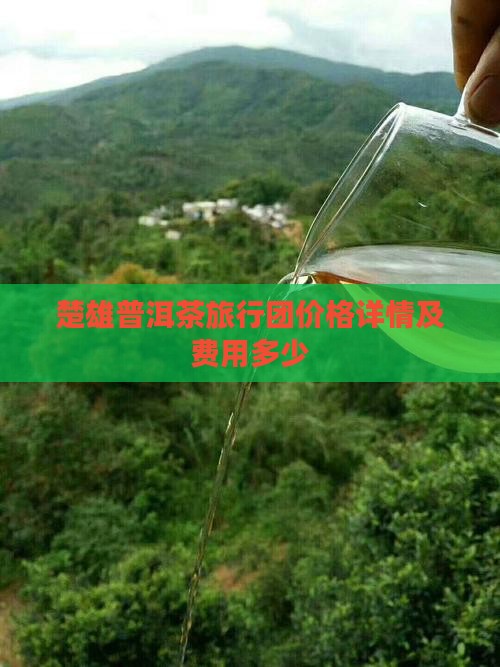 楚雄普洱茶旅行团价格详情及费用多少