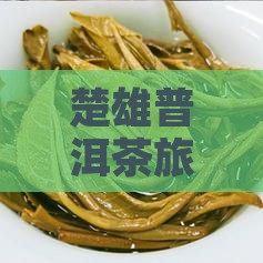 楚雄普洱茶旅行团价格详情及费用多少