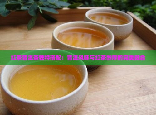 红茶普洱茶独特搭配:普洱风味与红茶醇厚的完美融合 红茶普洱茶独特搭配:普洱风味与红茶醇厚的完美融合