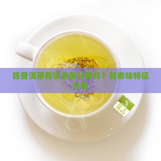 陈普洱茶有淡淡荷叶香吗？其香味特征分析