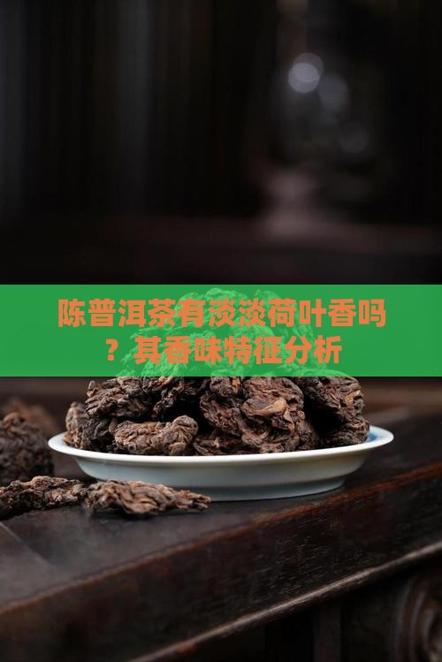 陈普洱茶有淡淡荷叶香吗？其香味特征分析