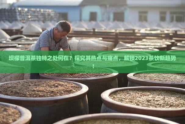 坝檬普洱茶独特之处何在？探究其热点与痛点，解锁2023茶饮新趋势！