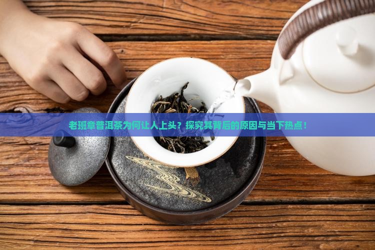 老班章普洱茶为何让人上头？探究其背后的原因与当下热点！