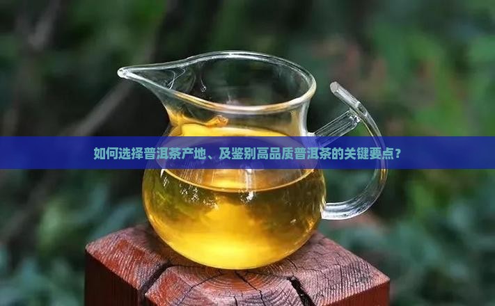 如何选择普洱茶产地、及鉴别高品质普洱茶的关键要点？