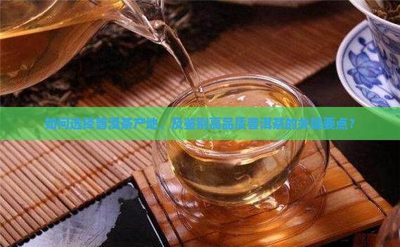 如何选择普洱茶产地、及鉴别高品质普洱茶的关键要点？