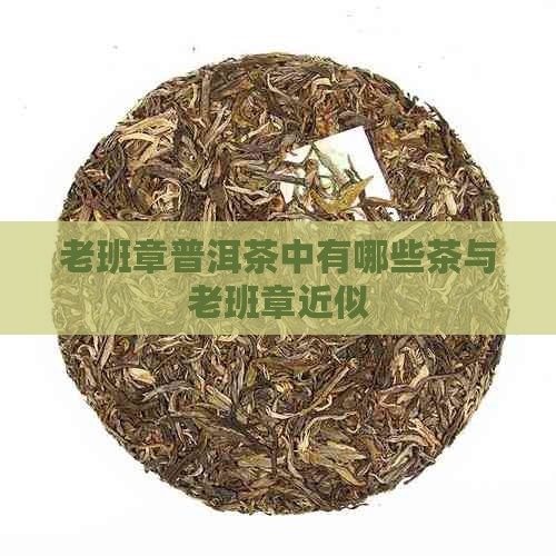老班章普洱茶中有哪些茶与老班章近似