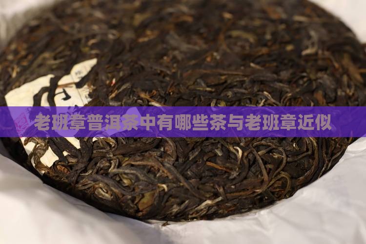 老班章普洱茶中有哪些茶与老班章近似