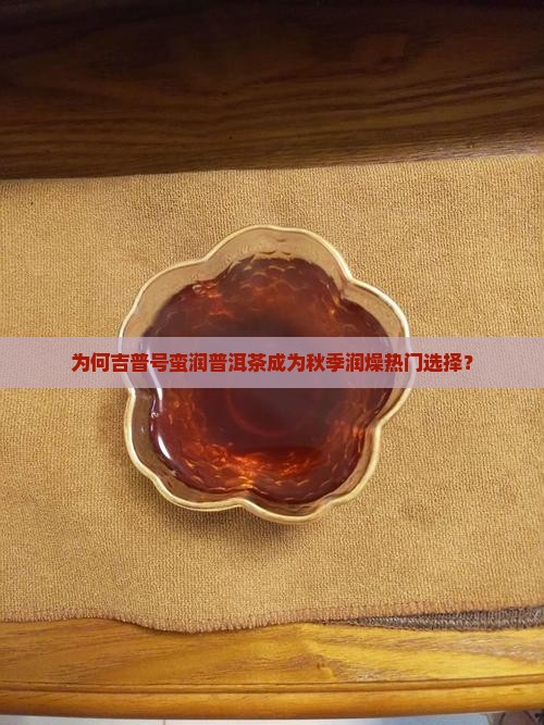 为何吉普号蛮润普洱茶成为秋季润燥热门选择？