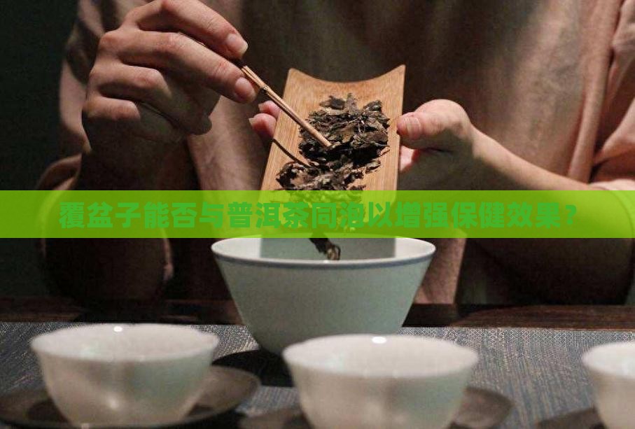 覆盆子能否与普洱茶同泡以增强保健效果？