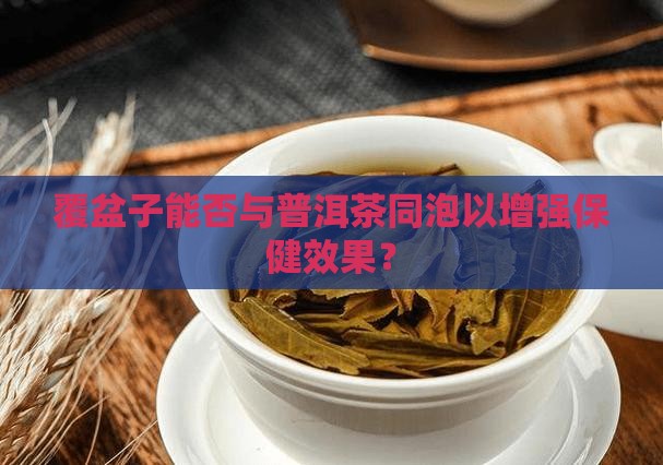 覆盆子能否与普洱茶同泡以增强保健效果？