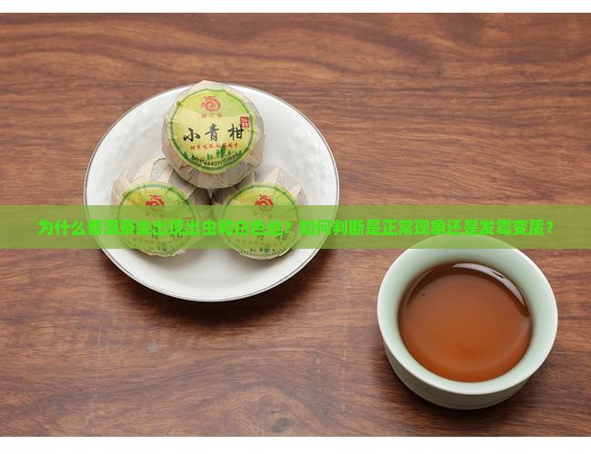 为什么普洱茶会出现出虫和白色丝？如何判断是正常现象还是发霉变质？