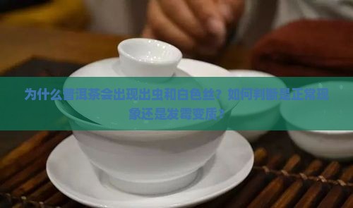 为什么普洱茶会出现出虫和白色丝？如何判断是正常现象还是发霉变质？