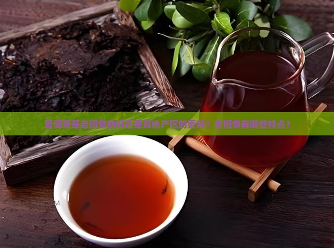 普洱茶是老班章的好还是其他产区的更好？老班章有哪些特点？