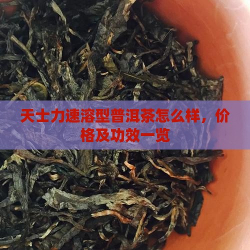 天士力速溶型普洱茶怎么样，价格及功效一览