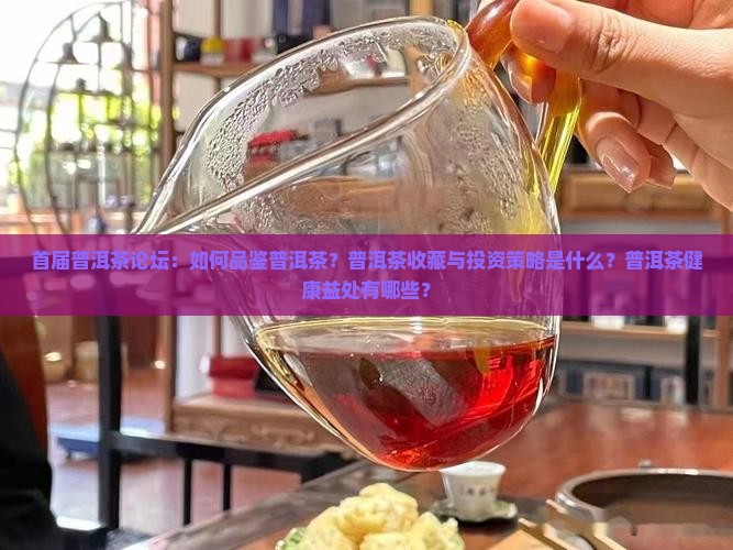 首届普洱茶论坛：如何品鉴普洱茶？普洱茶收藏与投资策略是什么？普洱茶健康益处有哪些？