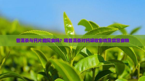 普洱茶与钙片能同食吗？喝普洱茶对钙吸收影响及禁忌食物