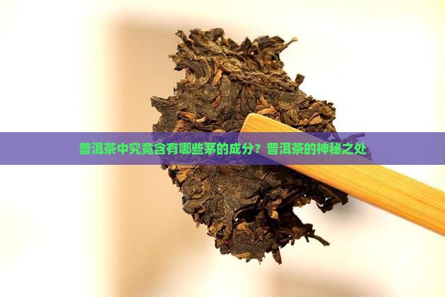 普洱茶中究竟含有哪些茅的成分？普洱茶的神秘之处