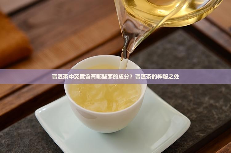 普洱茶中究竟含有哪些茅的成分？普洱茶的神秘之处
