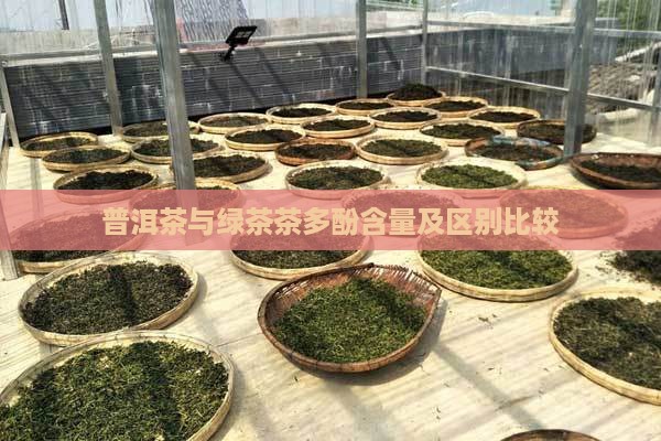 普洱茶与绿茶茶多酚含量及区别比较