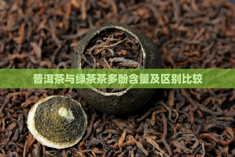 普洱茶与绿茶茶多酚含量及区别比较