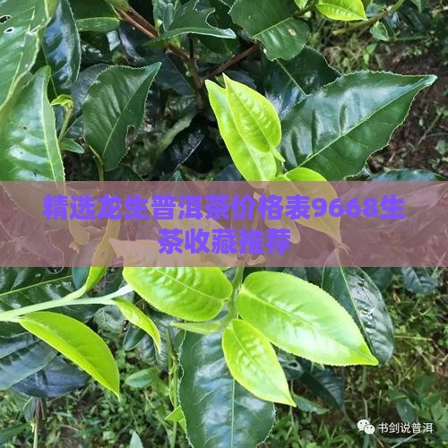 精选龙生普洱茶价格表9668生茶收藏推荐