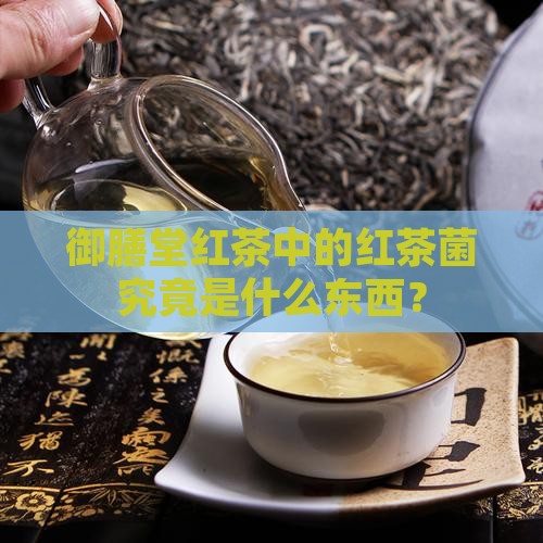 御膳堂红茶中的红茶菌究竟是什么东西？