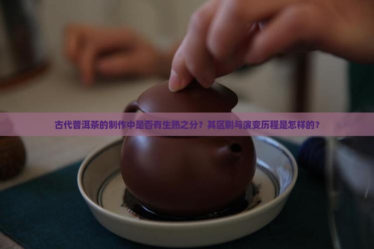 古代普洱茶的制作中是否有生熟之分？其区别与演变历程是怎样的？