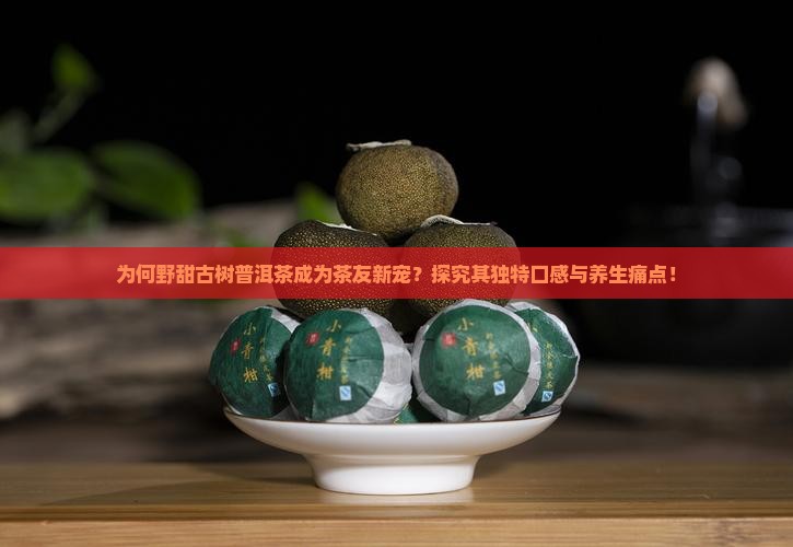 为何野甜古树普洱茶成为茶友新宠？探究其独特口感与养生痛点！