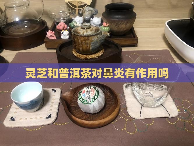 灵芝和普洱茶对鼻炎有作用吗