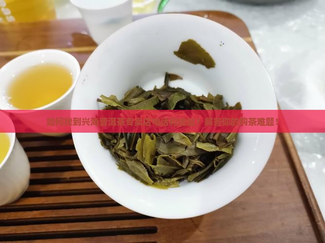 如何找到兴海普洱茶专卖店电话和地址？解答你的购茶难题！