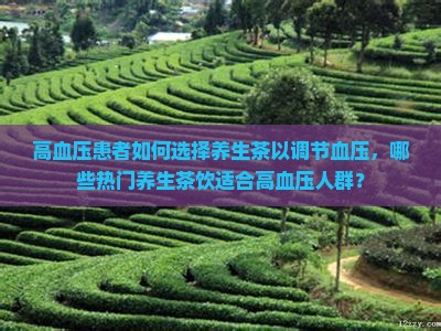 高血压患者如何选择养生茶以调节血压，哪些热门养生茶饮适合高血压人群？