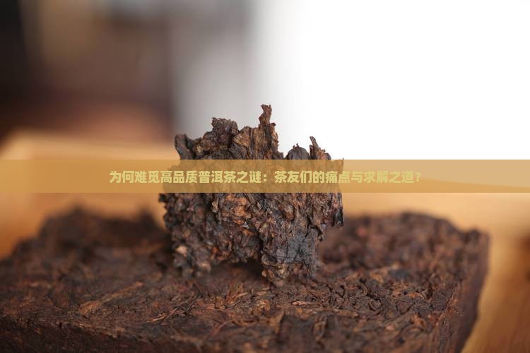 为何难觅高品质普洱茶之谜：茶友们的痛点与求解之道？