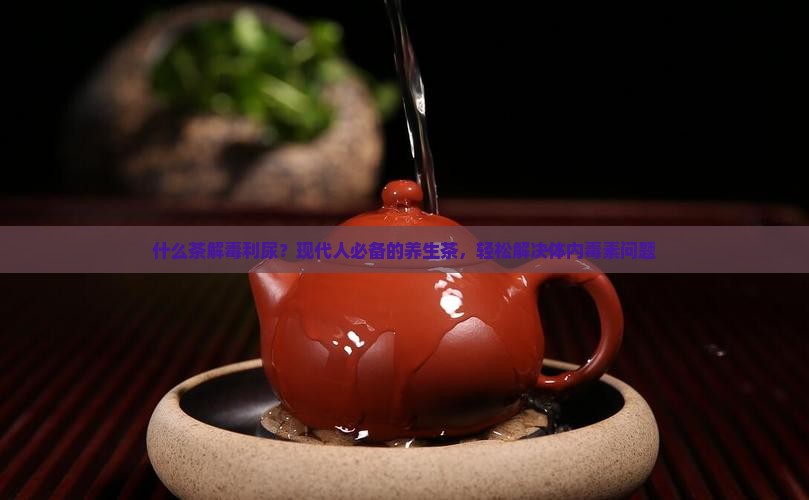什么茶解毒利尿？现代人必备的养生茶，轻松解决体内毒素问题