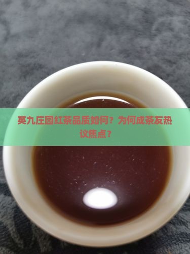 英九庄园红茶品质如何？为何成茶友热议焦点？