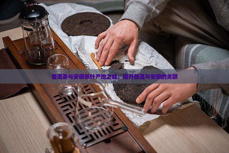 普洱茶与安徽茶叶产地之谜：揭开普洱与安徽的关联