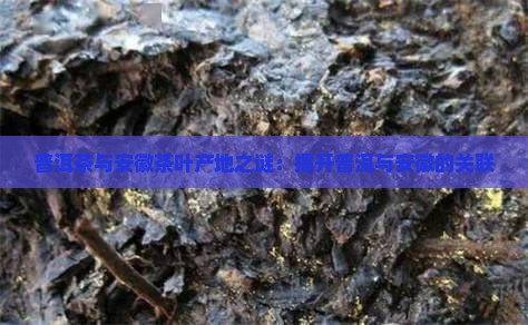 普洱茶与安徽茶叶产地之谜：揭开普洱与安徽的关联