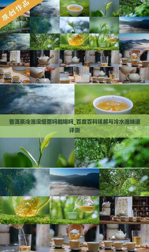 普洱茶冷泡没细菌吗能喝吗_百度百科详解与冷水泡味道评测