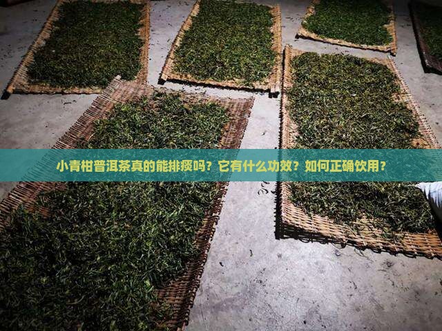小青柑普洱茶真的能排痰吗？它有什么功效？如何正确饮用？