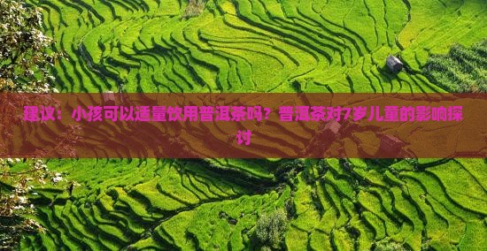 建议：小孩可以适量饮用普洱茶吗？普洱茶对7岁儿童的影响探讨