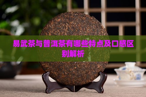 易武茶与普洱茶有哪些特点及口感区别解析