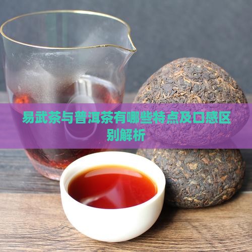 易武茶与普洱茶有哪些特点及口感区别解析
