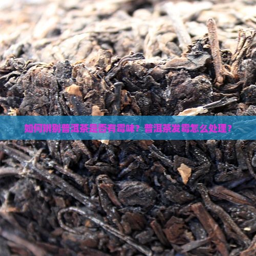 如何辨别普洱茶是否有霉味？普洱茶发霉怎么处理？